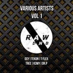 cover: Various - RAW VA Vol 1