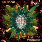 cover: Bliz Nochi - Vesna (Original Mix)