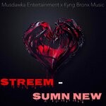 cover: Streem - Sumn New