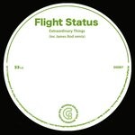 cover: Flight Status - Extraordinary Things