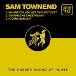 cover: Sam Townend - Where Did You Get That Picture?