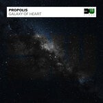 cover: Propolis - Galaxy Of Heart