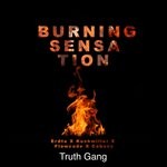 cover: Cobany|Erdto|Flowcode|Kushmiller|Truth Gang - Burning Sensation