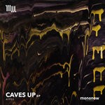 cover: Aypex - Caves Up