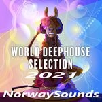 cover: Various - World Deephouse Selection (2021)