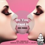 cover: Arie Mando - Do You Want It