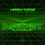 cover: Harry Topor - Darknet (Decent & Snapper Remix)