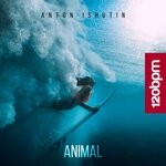 cover: Anton Ishutin - Animal