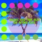 cover: Organic Noise From Ibiza - San Antonio Playa