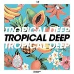 cover: Various - Tropical Deep, Vol 17