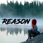 cover: Dj Toxiq - Reason