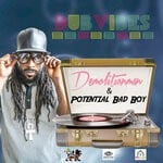 cover: Demolition Man|Potential Badboy - Dub Vibes