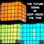 cover: Various - Future Sound Of Deep House Vol 2