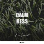 cover: Kaii Concept - Calmness