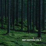 cover: Various - Deep Emotions Vol 2