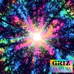 cover: Griz - Tie-Dye Sky