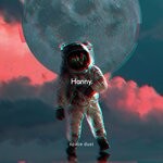 cover: Hanny - Space Dust