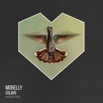 cover: Morelly - Colibri (Original Mix)