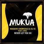 cover: Dj Ic|Lyric|Massive Chemicals - Never Let You Go