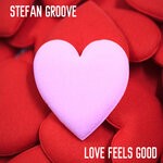 cover: Stefan Groove - Love Feels Good