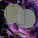 cover: Moe Turk - Darkness (Original Mix)