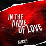 cover: Puppy Sierna - In The Name Of Love