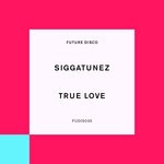 cover: Siggatunez|Vany T Fair - True Love (Extended Mixes)