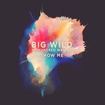 cover: Big Wild|Hundred Waters - Show Me