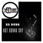 cover: X5 Dubs - Not Gonna Cry