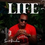 cover: Saint Priceless - Life