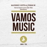 cover: Mathieu Cetta|Terri B! - Never Knew Love Like This (Remixes)