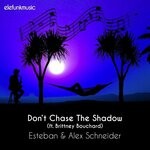 cover: Brittney Bouchard|Esteban & Alex Schneider - Don't Chase The Shadow