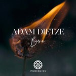 cover: Adam Dietze - Burn