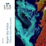 cover: Night Sky Pulse - These Possible Lives