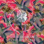 cover: Greg Ochman - Enjoy The Stars