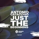 cover: Antonio Catacchio - Just The Beginning