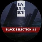 cover: Various - Black Selection Vol 1