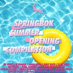 cover: Various - Springbok Summer Opening Compilation