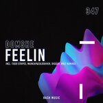 cover: Domshe - Feelin