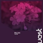 cover: Max Lake - Trust Me (Radio Edit)