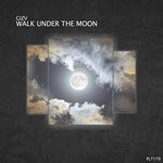 cover: Gizv - Walk Under The Moon EP