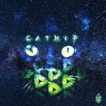 cover: Asteroid 385 - Catnip