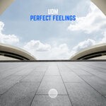 cover: Udm - Perfect Feelings (Extended Mix)