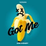 cover: Dark Intensity - Got Me