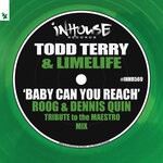 cover: Limelife|Todd Terry - Baby Can You Reach (Roog & Dennis Quin Tribute To The Maestro Mix)