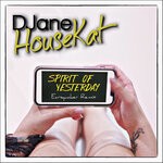 cover: Djane Housekat - The Spirit Of Yesterday (Earsquaker Remix)