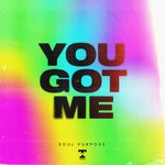 cover: Soul Purpose - You Got Me