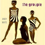 cover: Andy Mate - The Groupie