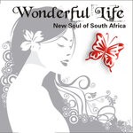 cover: Various - Wonderful Life - New Soul Of South Africa