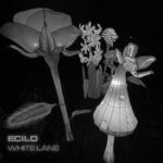 cover: Ecilo - White Lane